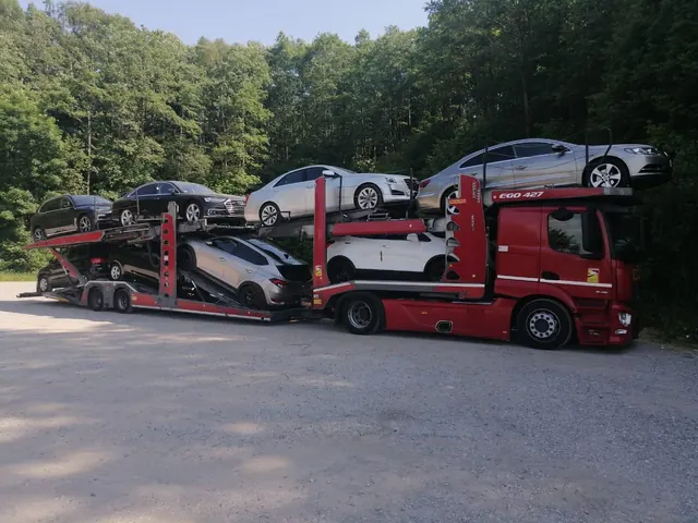 Platformă Romfour încărcată cu autoturisme, pădure în fundal