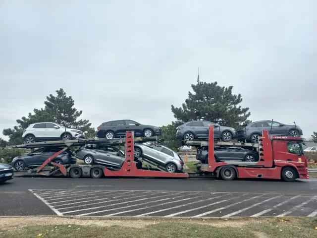 Platformă Romfour cu autoturisme albe și argintii, aliniament de copaci